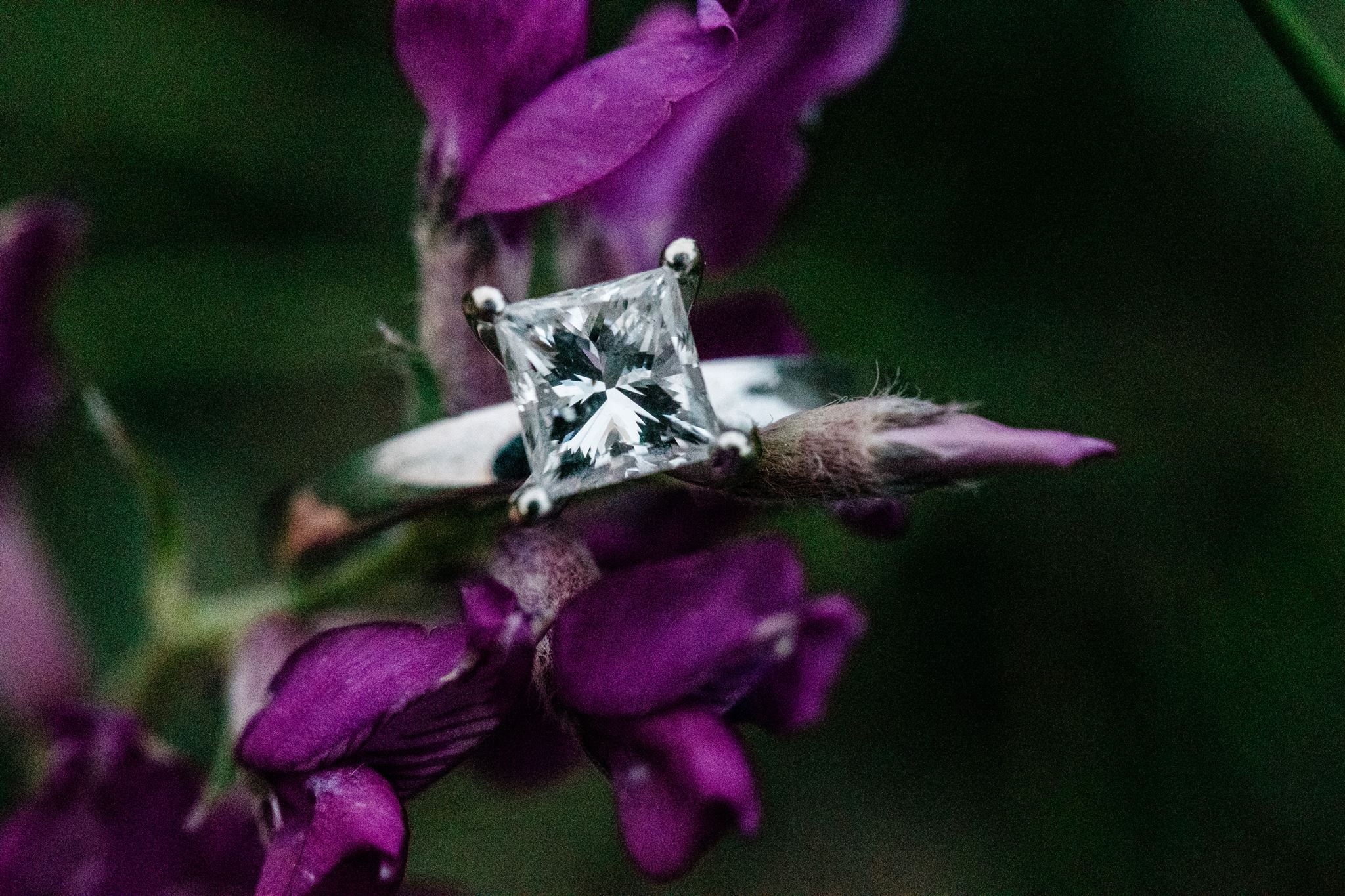 Engagement ring with wildflowers in Wyoming.